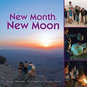 New Month, New Moon de Allison Ofanansky