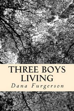 Three Boys Living de Dana Lynn Furgerson