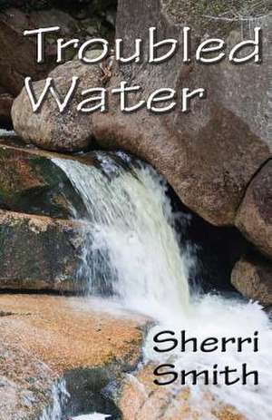 Troubled Water de Sherri Smith