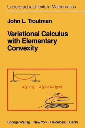 Variational Calculus with Elementary Convexity de W. Hrusa