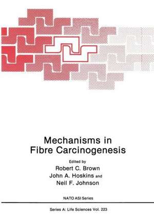 Mechanisms in Fibre Carcinogenesis de Robert C. Brown