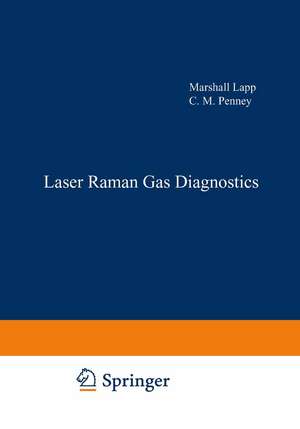 Laser Raman Gas Diagnostics de Marshall Lapp