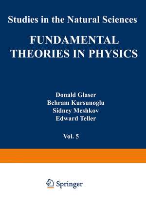 Fundamental Theories in Physics de Stephan Mintz