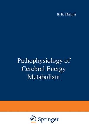 Pathophysiology of Cerebral Energy Metabolism de B. B. Mrsulja