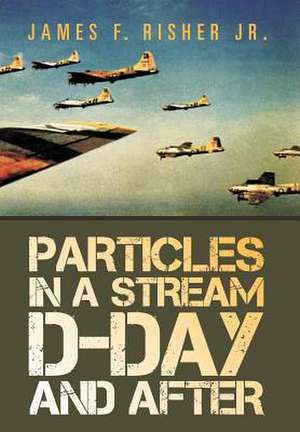 Particles in a Stream D-Day and After de James F Risher Jr