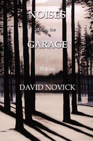 Noises from the Garage de David Novick