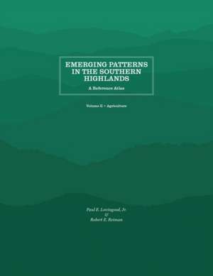 Emerging Patterns in the Southern Highlands de Paul E. Lovingood Jr.