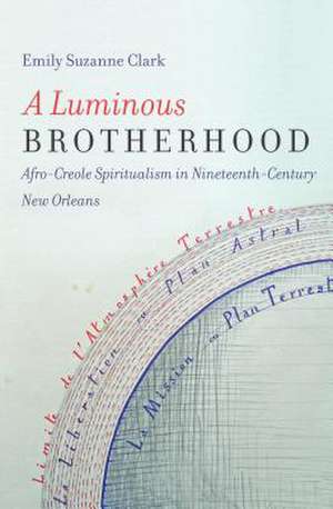 A Luminous Brotherhood de Emily Suzanne Clark