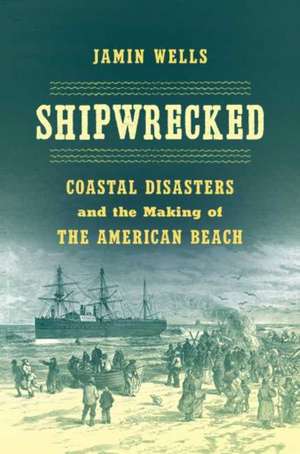 Shipwrecked de Jamin Wells