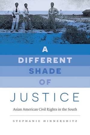 A Different Shade of Justice de Stephanie Hinnershitz