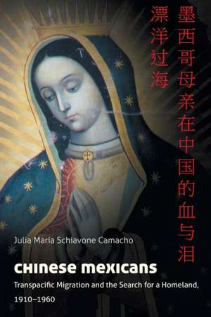 Chinese Mexicans de Julia María Schiavone Camacho