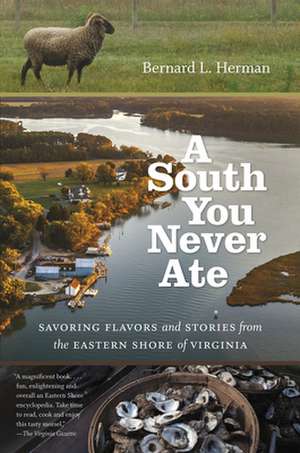 A South You Never Ate de Bernard L Herman