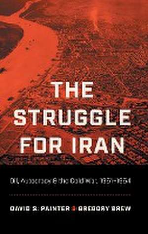 The Struggle for Iran de David S. Painter