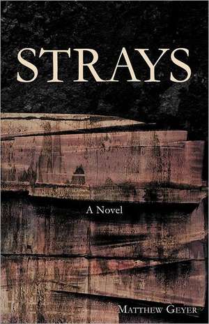 Strays de Matthew Geyer