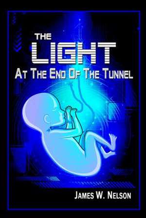 The Light at the End of the Tunnel de James W. Nelson