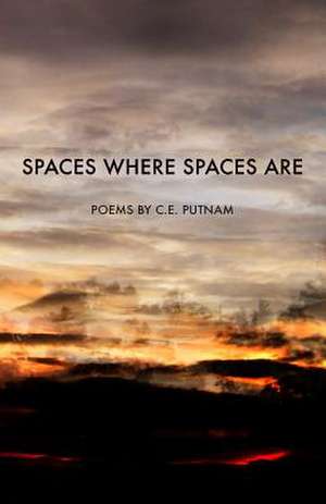 Spaces Where Spaces Are de C. E. Putnam