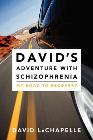 David's Adventure with Schizophrenia de David LaChapelle