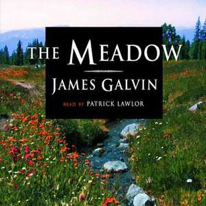 The Meadow de James Galvin