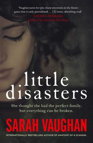 Little Disasters: the compelling and thought-provoking new novel from the author of the Sunday Times bestseller Anatomy of a Scandal de Sarah Vaughan