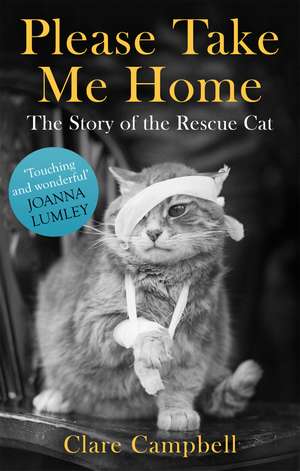 Please Take Me Home: The Story of the Rescue Cat de Clare Campbell