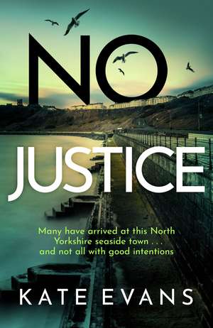 No justice de Kate Evans