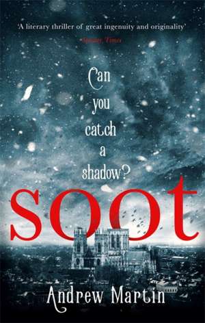 Soot de Andrew Martin