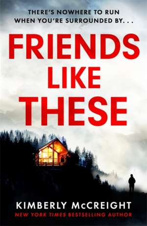 Friends Like These de Kimberly McCreight