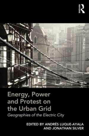 Energy, Power and Protest on the Urban Grid: Geographies of the Electric City de Andres Luque-Ayala