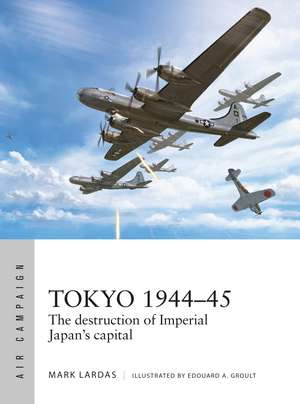 Tokyo 1944–45: The destruction of Imperial Japan's capital de Mark Lardas