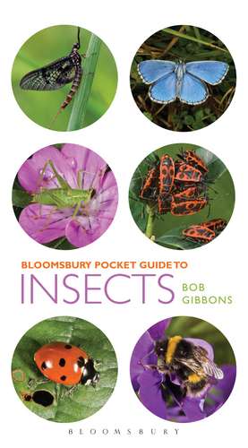 Pocket Guide to Insects de Bob Gibbons