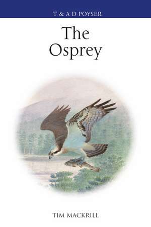 The Osprey de Tim Mackrill