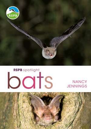 RSPB Spotlight Bats de Nancy Jennings