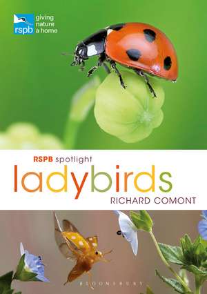 RSPB Spotlight Ladybirds de Richard Comont