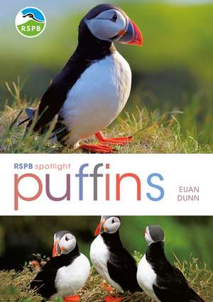 RSPB Spotlight: Puffins de Euan Dunn