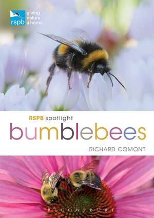 RSPB Spotlight Bumblebees de Richard Comont