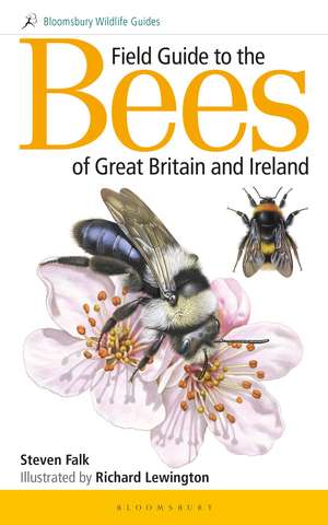 Field Guide to the Bees of Great Britain and Ireland de Steven Falk