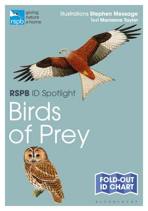 RSPB ID Spotlight - Birds of Prey de Marianne Taylor