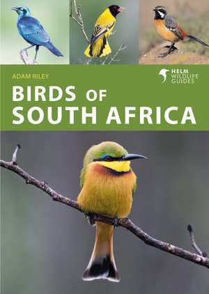 Birds of South Africa de Adam Riley