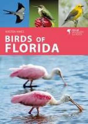 Birds of Florida de Kirsten Hines