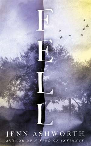 Ashworth, J: Fell de Jenn Ashworth