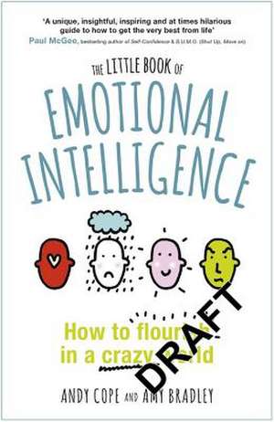 The Little Book of Emotional Intelligence de Andy Cope