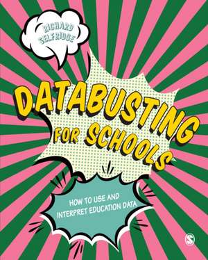 Databusting for Schools: How to Use and Interpret Education Data de Richard Selfridge