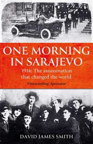 One Morning In Sarajevo de David James Smith