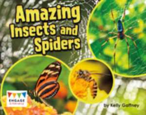 Raintree: Amazing Insects and Spiders de Kelly Gaffney