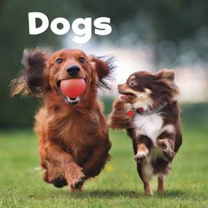 Dogs de Lisa J. Amstutz