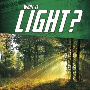 What Is Light? de Mark Weakland