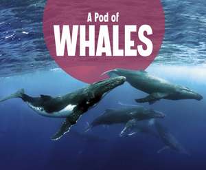 A Pod of Whales de Lucia Raatma