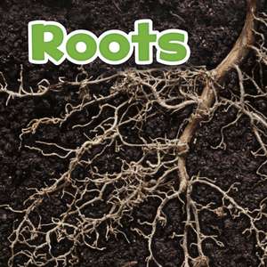 Roots de Marissa Kirkman