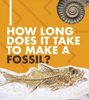 How Long Does It Take to Make a Fossil? de Emily Hudd