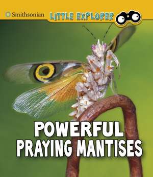 Powerful Praying Mantises de Melissa Higgins